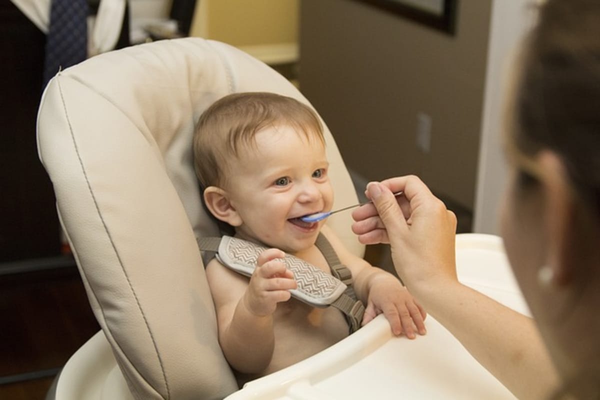 ¿Qué puede comer un bebé de 8 meses?