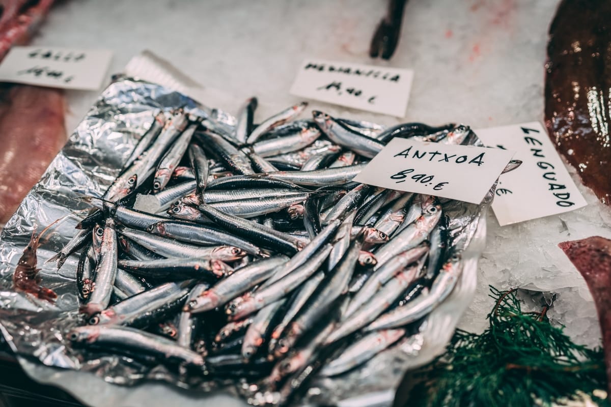 ¿Se puede comer anchoas en el embarazo?