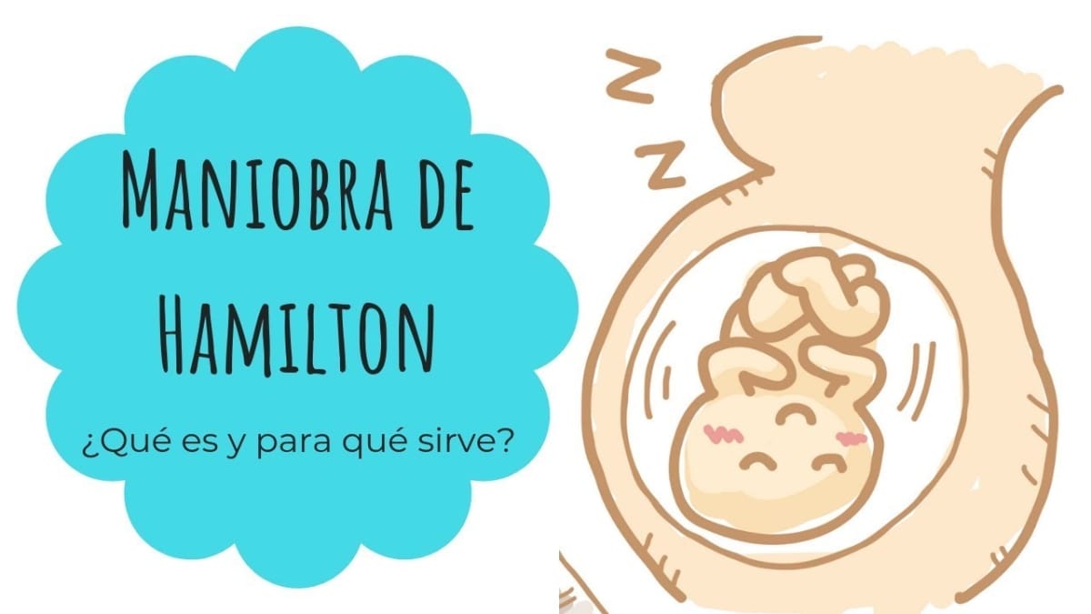 Porcentaje de éxito de la maniobra de Hamilton