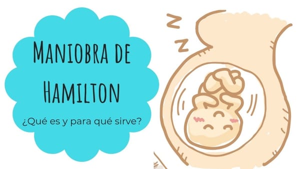 Porcentaje de éxito de la maniobra de Hamilton